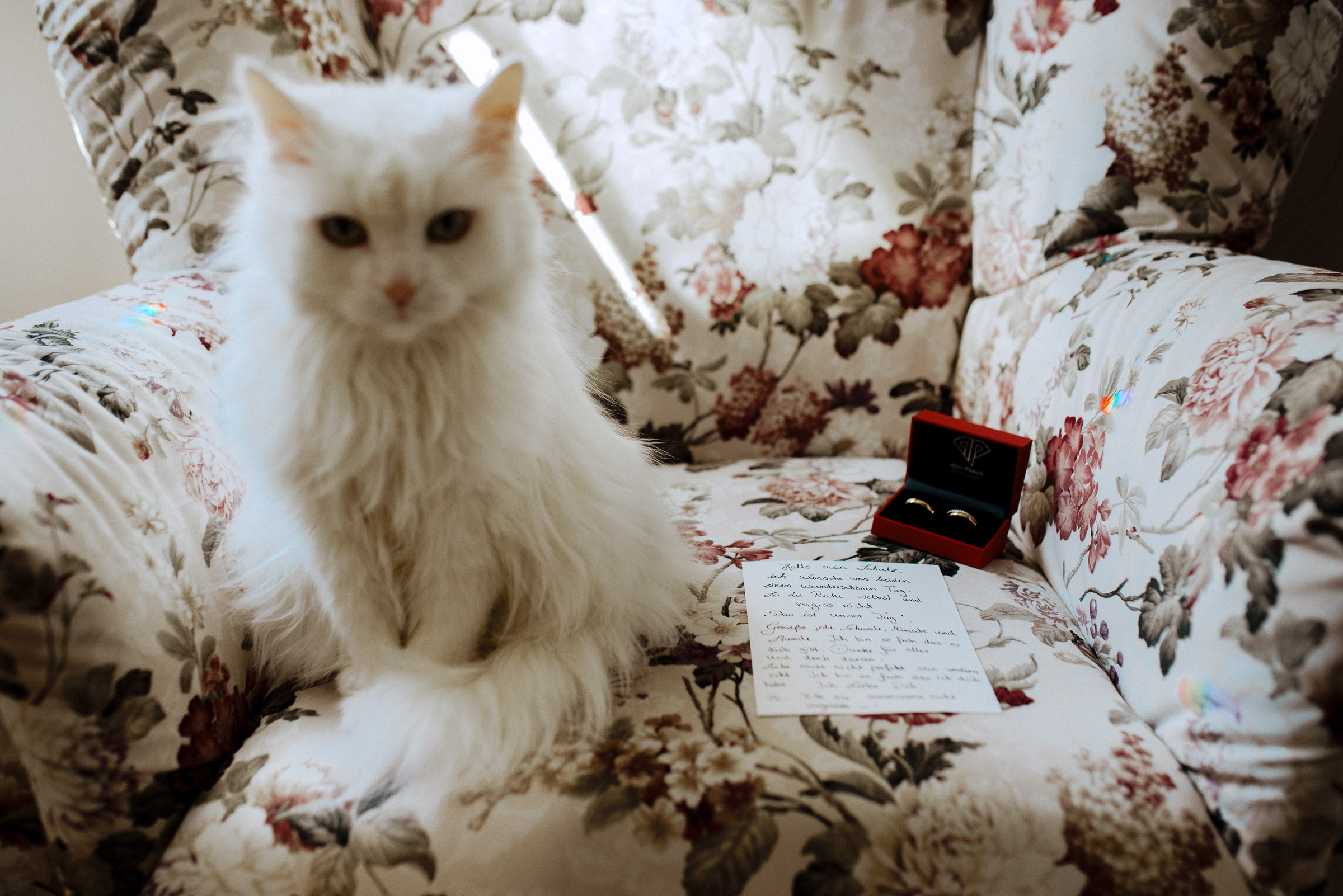 Deutsch-türkische Hochzeit: Katze sitzt in einem Sessel neben einem Liebesbrief