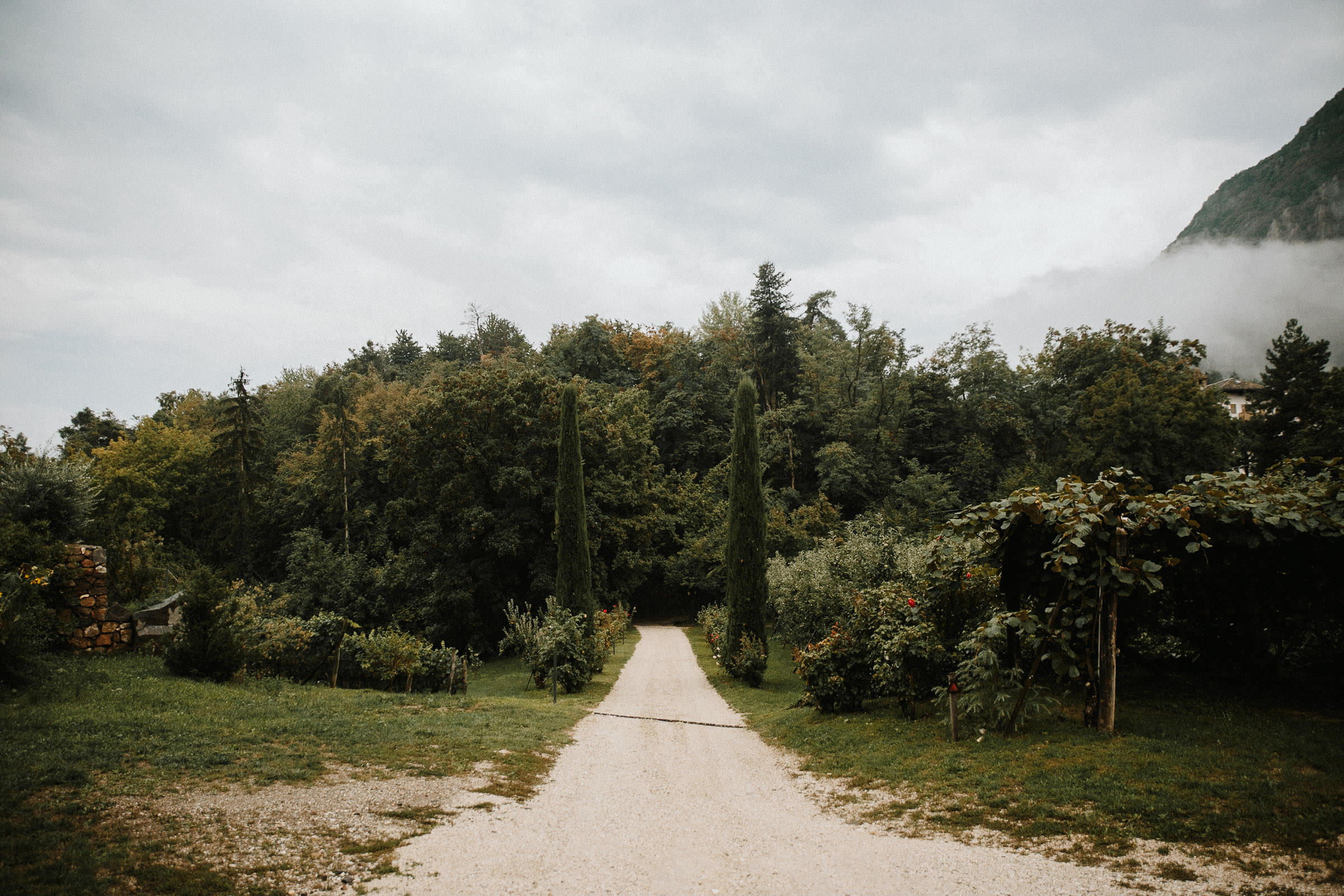 Schlosshochzeit: ein Weg führt in einen grünen Wald